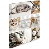HERMA eckspannermappe "Katzen", aus Karton, din A4