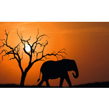 PAPERFLOW wandbild "Out of Afrika", aus Plexiglas