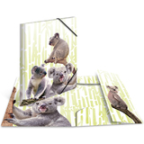 HERMA eckspannermappe Exotische Tiere, A4, Koalafamilie