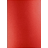 CARAN D'ACHE notizbuch COLORMAT-X, din A5, liniert, rot