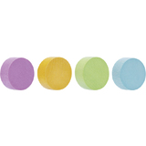 magnetoplan neodym-magnete Wood series Circle, farbig