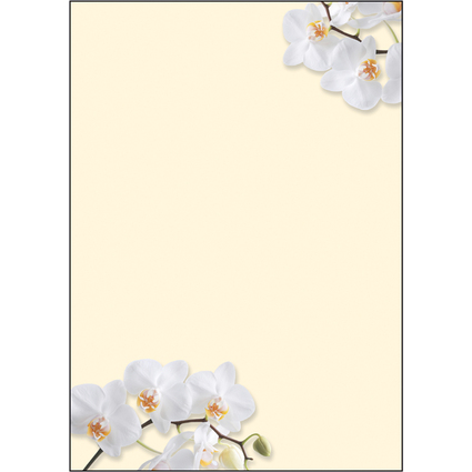 sigel Design-Papier, DIN A4, 90 g/qm, Motiv "White Orchid"