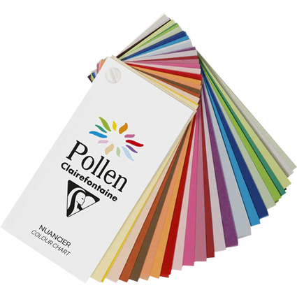 Pollen by Clairefontaine Farbfcher