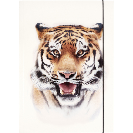 folia Zeichnungsmappe BASIC "Roaring Tiger", Karton, DIN A3