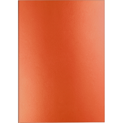 CARAN D'ACHE Notizbuch COLORMAT-X, DIN A5, liniert, orange
