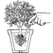 COMPO Grnpflanzen- und Palmen Dngestbchen mit Guano