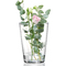 Ritzenhoff & Breker Blumenvase DIANA, transparent