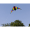 SCHILDKRT Lenkdrache Stunt Kite 160, Regenbogenfarben